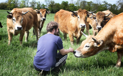 Elevage à la Ferme Au Fil de l’Ante