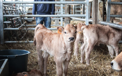 Ferme écologique dans le calvados