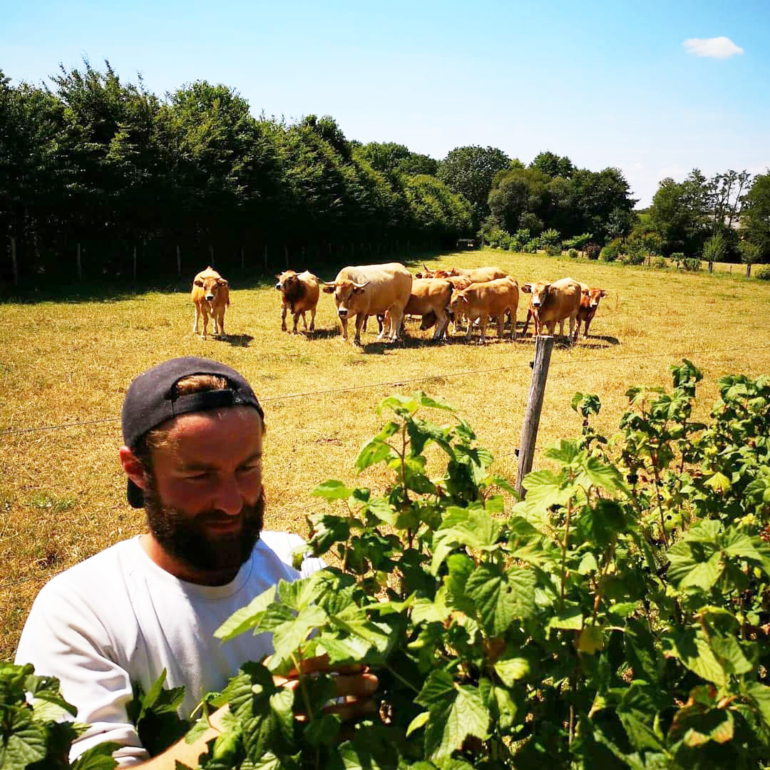 ferme au fil de lante pres de falaise aurelien