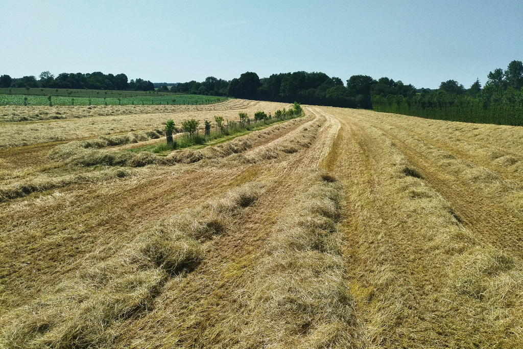 ferme au fil de lante pres de falaise histoire